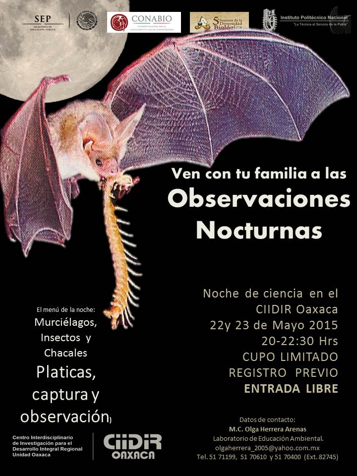 cartel observaciones nocturnas 1.jpg